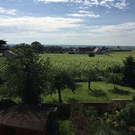 Studio Rue Jean Baptiste Wendling Apartman Ribeauvillé