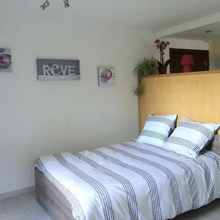 Studio Rue Jean Baptiste Wendling * Ribeauvillé